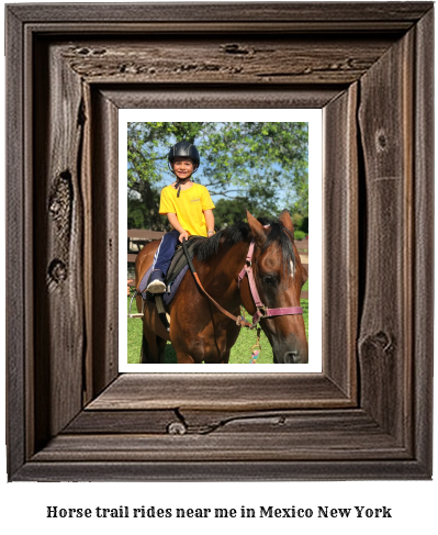 horse trail rides near me in Mexico, New York